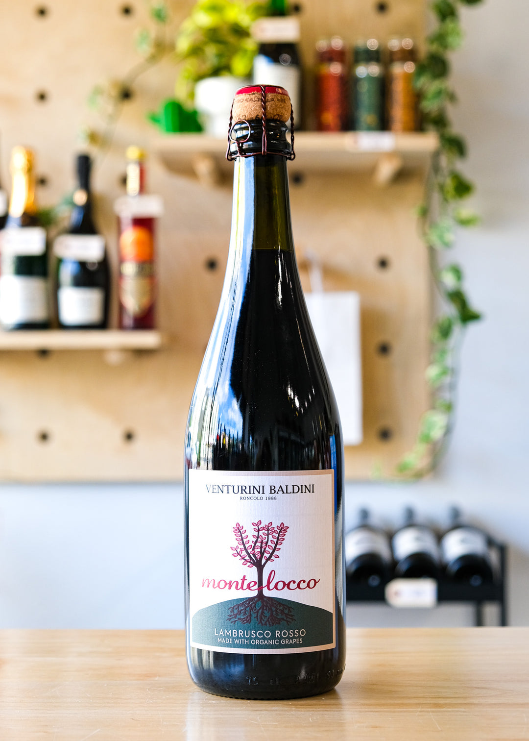 'Montelocco' Lambrusco Rosso