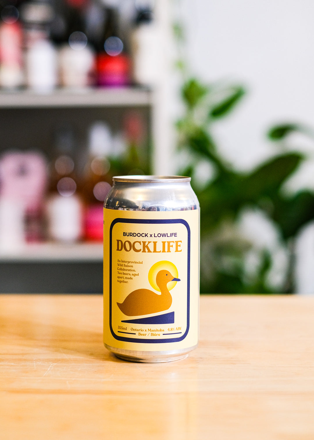 DOCKLIFE | Saison (Collab w/ Burdock)