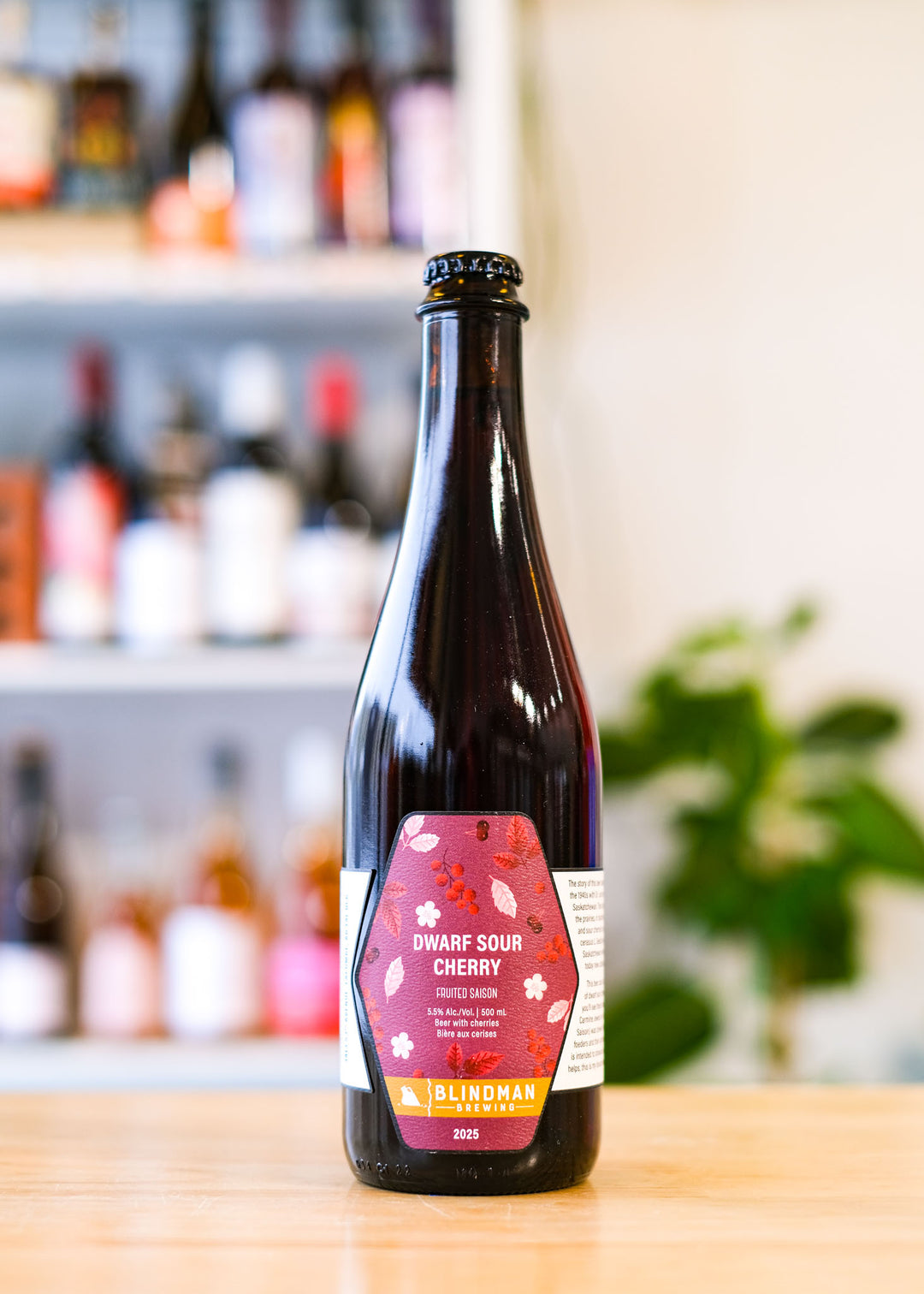 DWARF SOUR CHERRY | Fruited Saison
