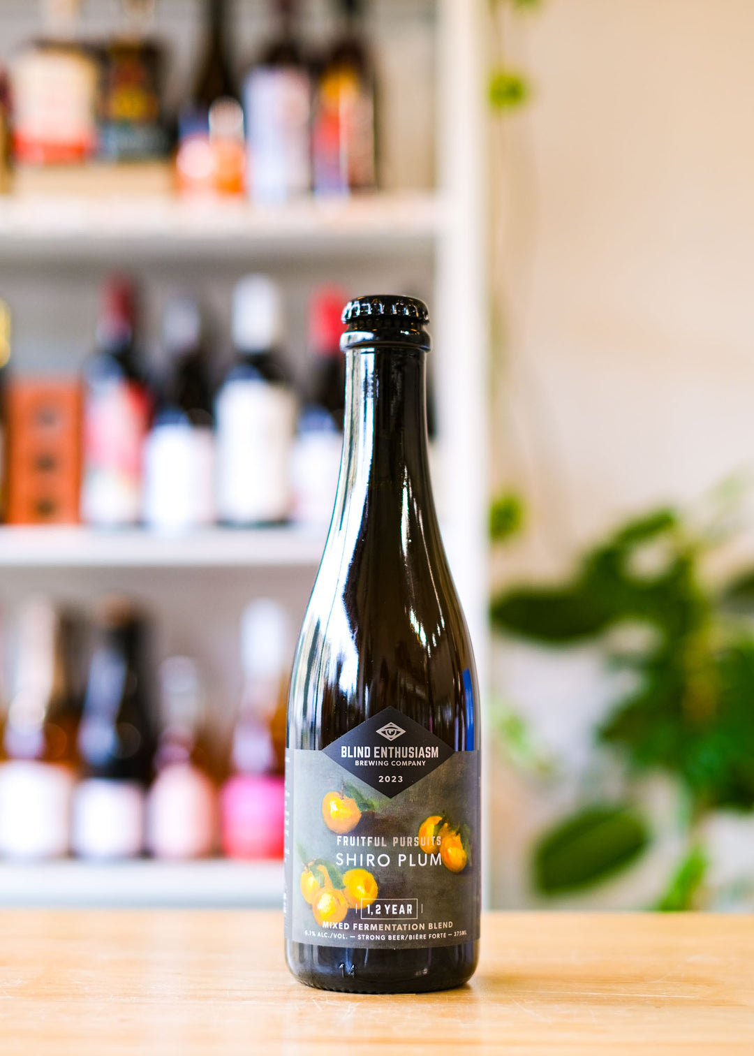 FRUITFUL PURSUITS: SHIRO PLUM | Mixed Fermentation Blend