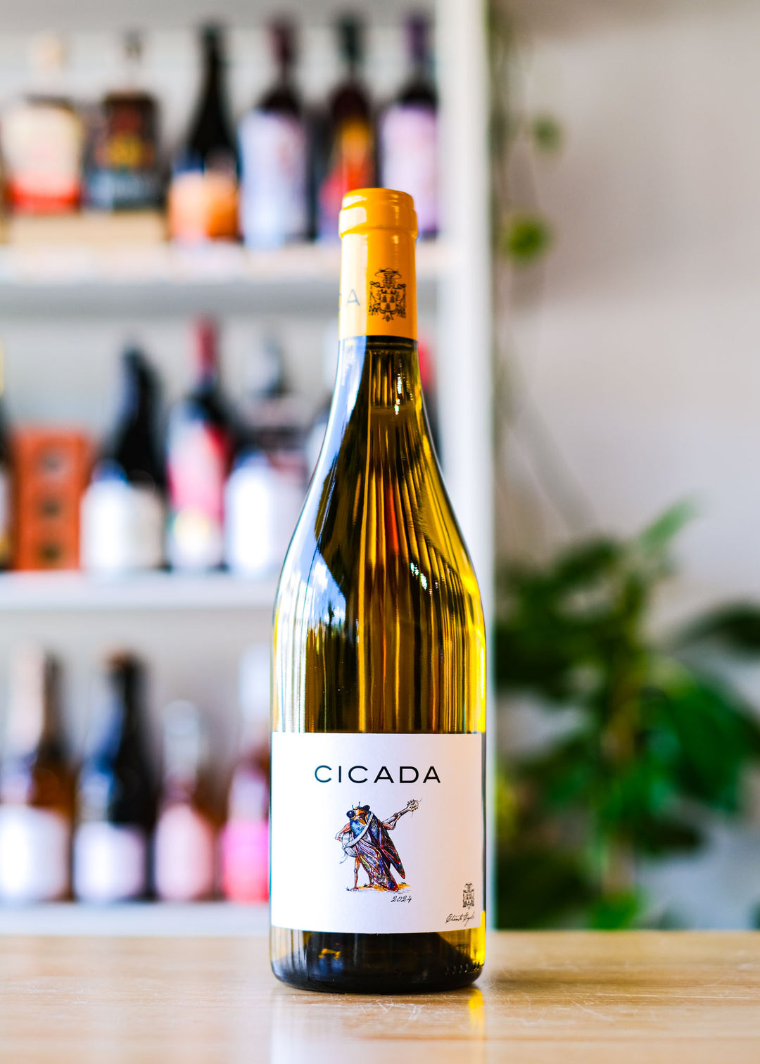 'Cicada' Blanc