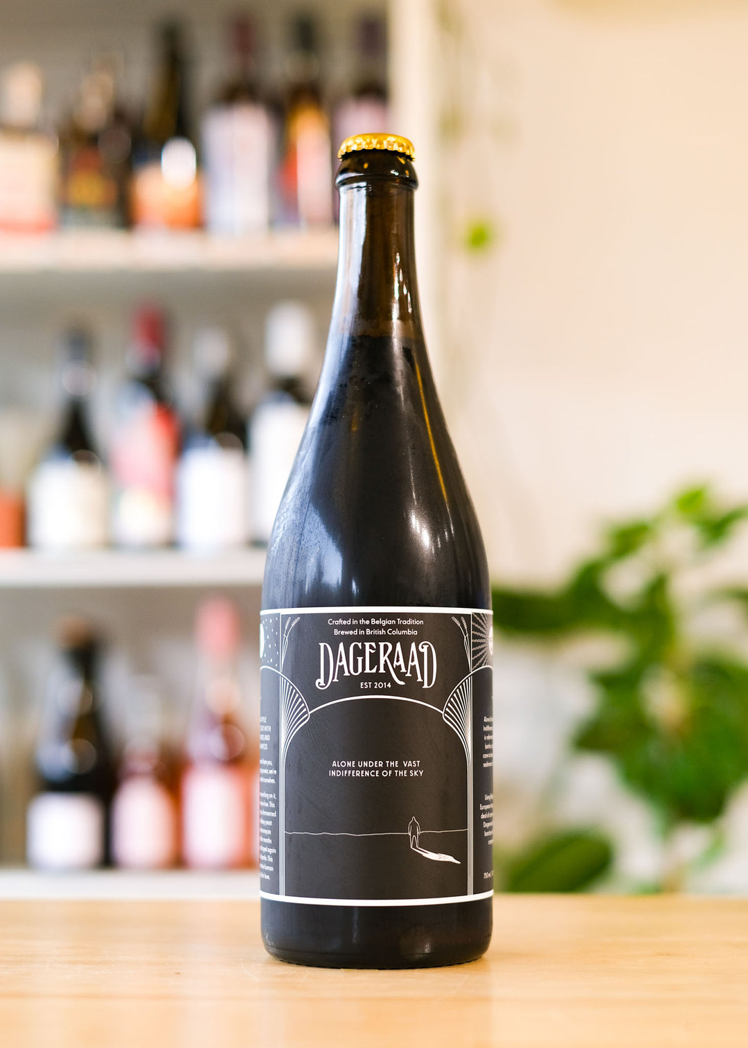 ALONE UNDER THE VAST INDIFFERENCE OF THE SKY | Belgian Style Imperial Stout w/ Sour Cherries & Brettanomyces