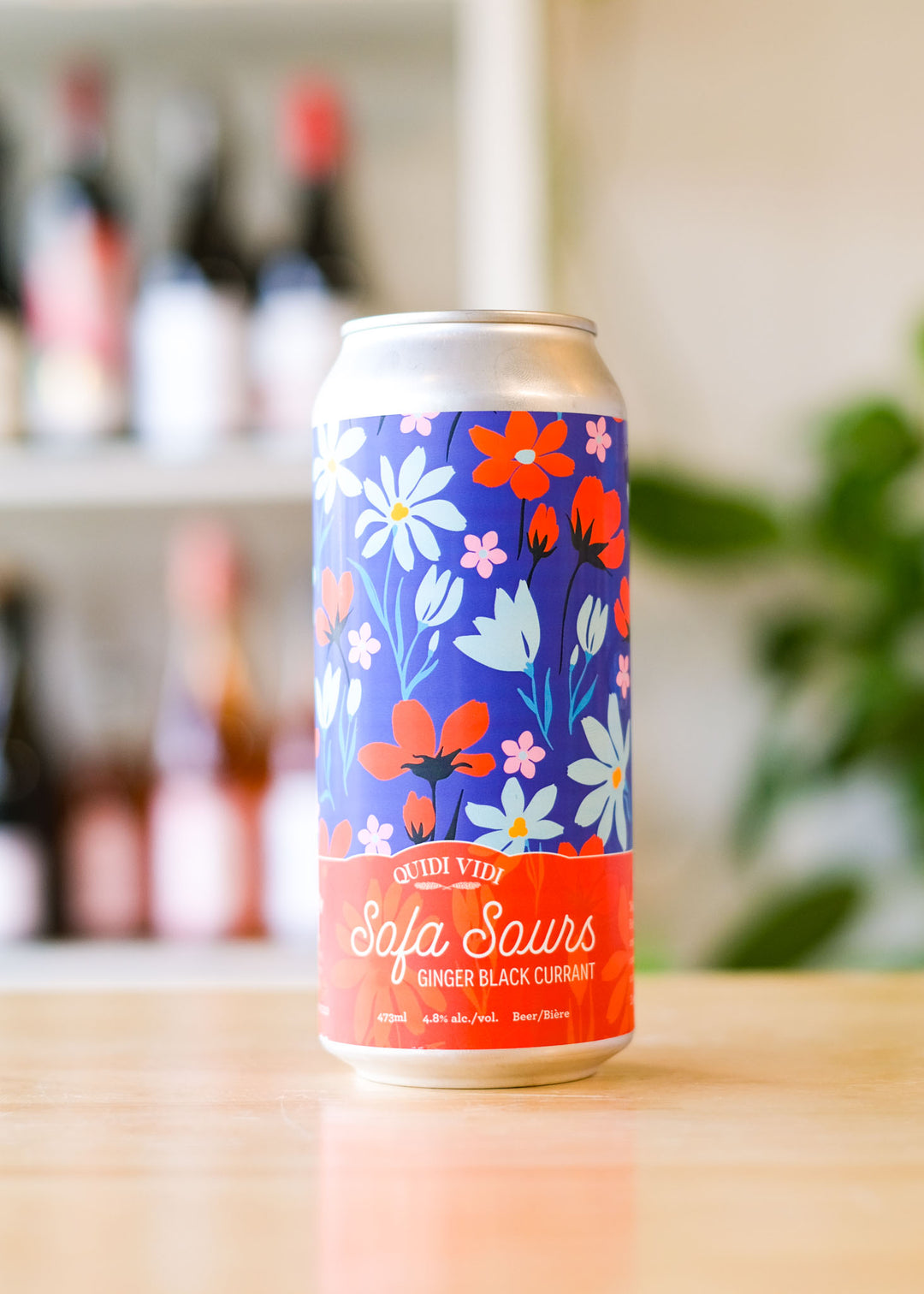SOFA SOURS | Ginger Black Currant