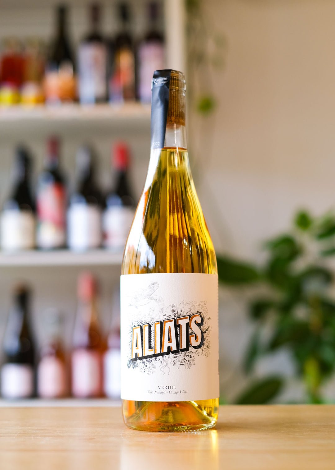 Aliats 'Orange'