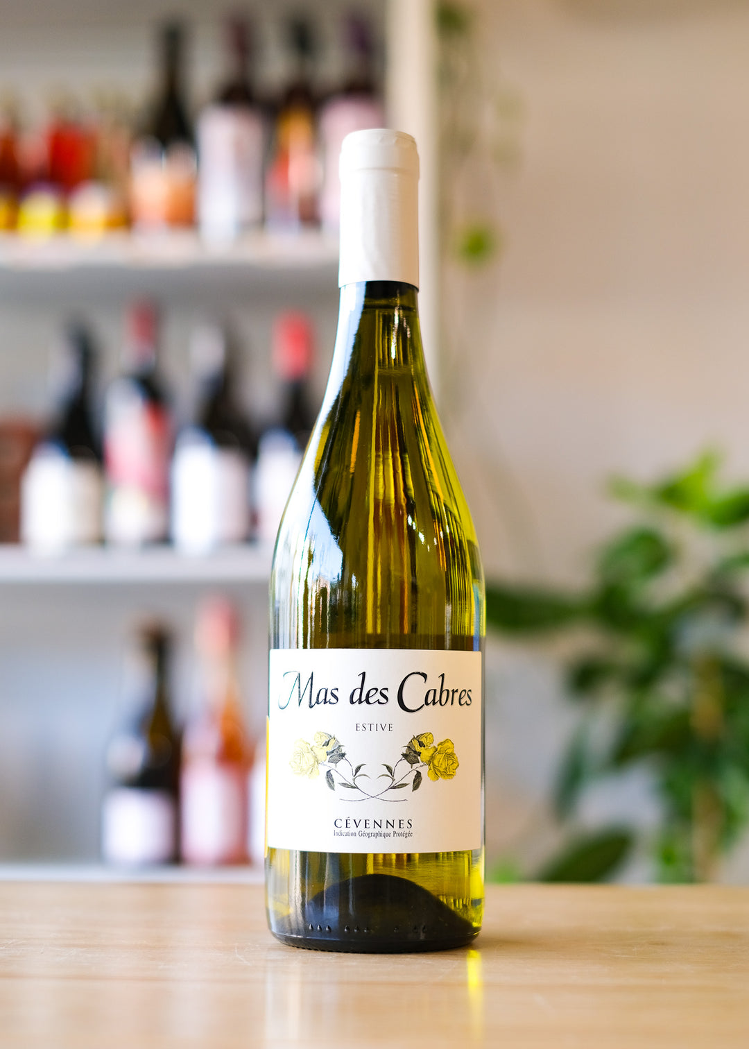 'Estive' Blanc