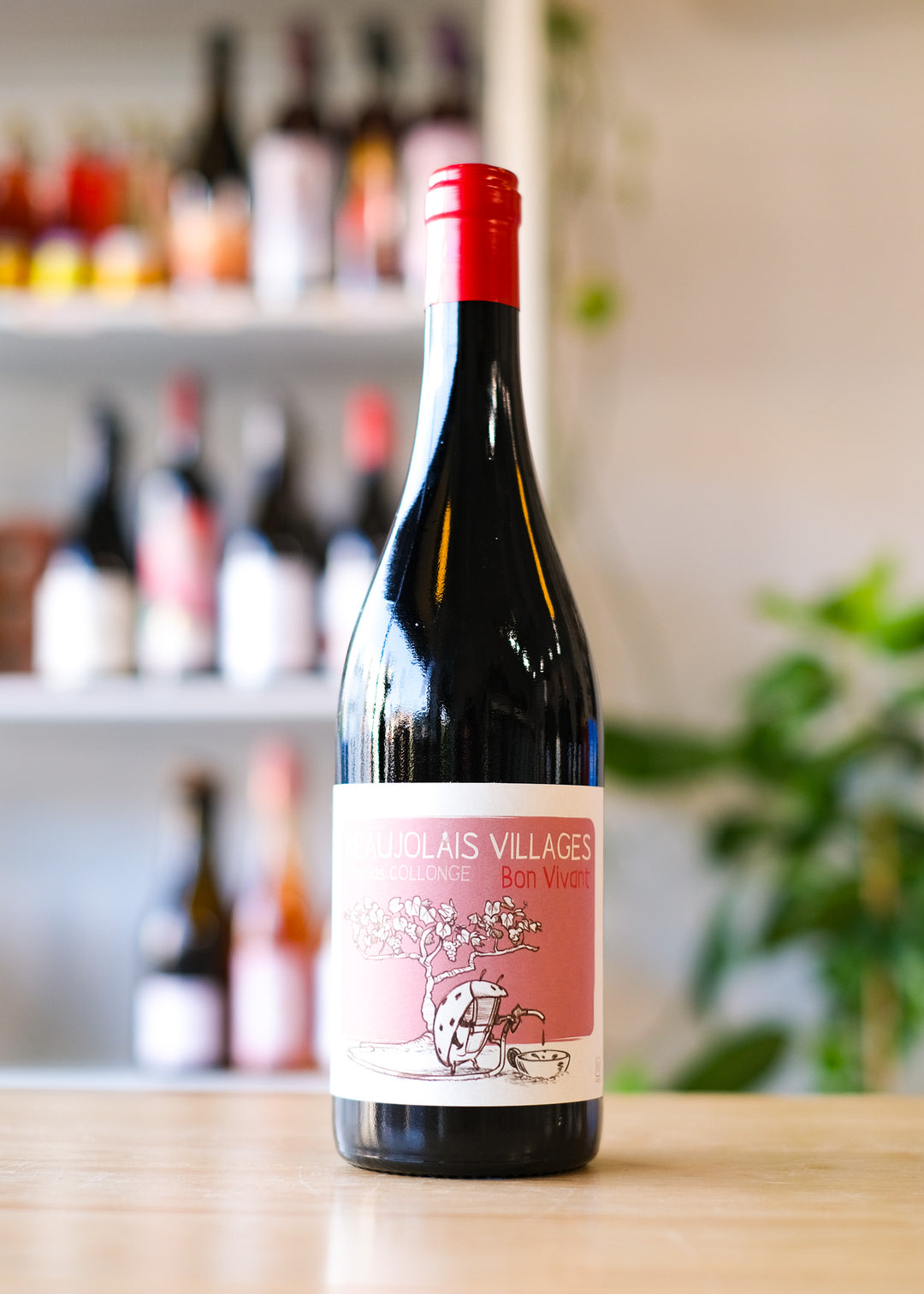 Thomas Collonge 'Bon Vivant' Beaujolais