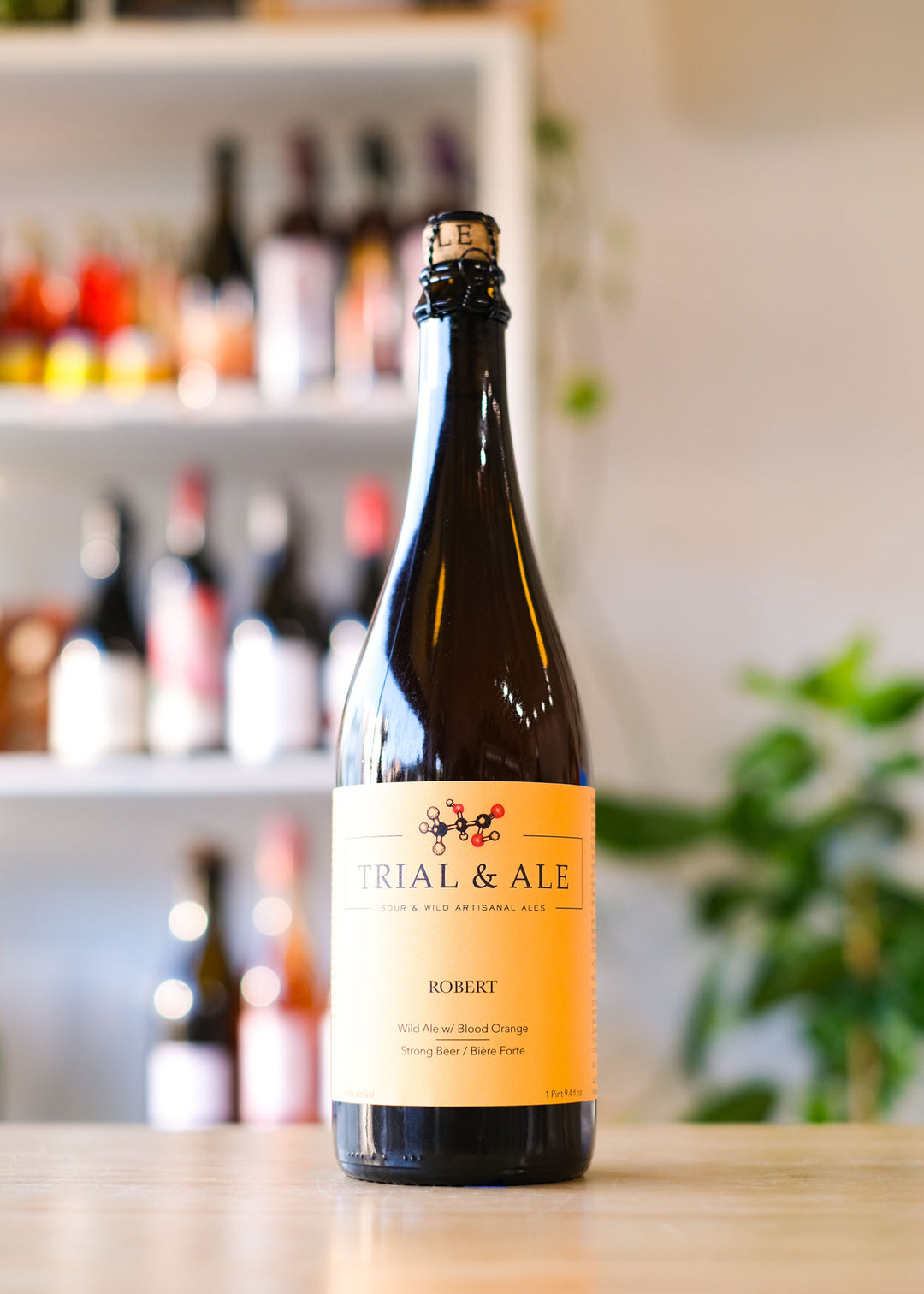 ROBERT | Wild Ale w/ Blood Orange