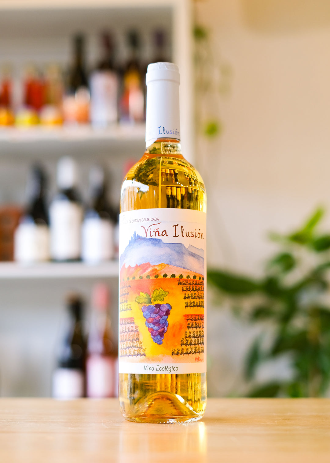 Viña Ilusión 'Blanco'