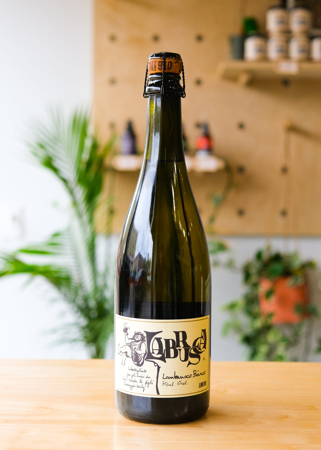 'Lambrusca Bianco' Lambrusco