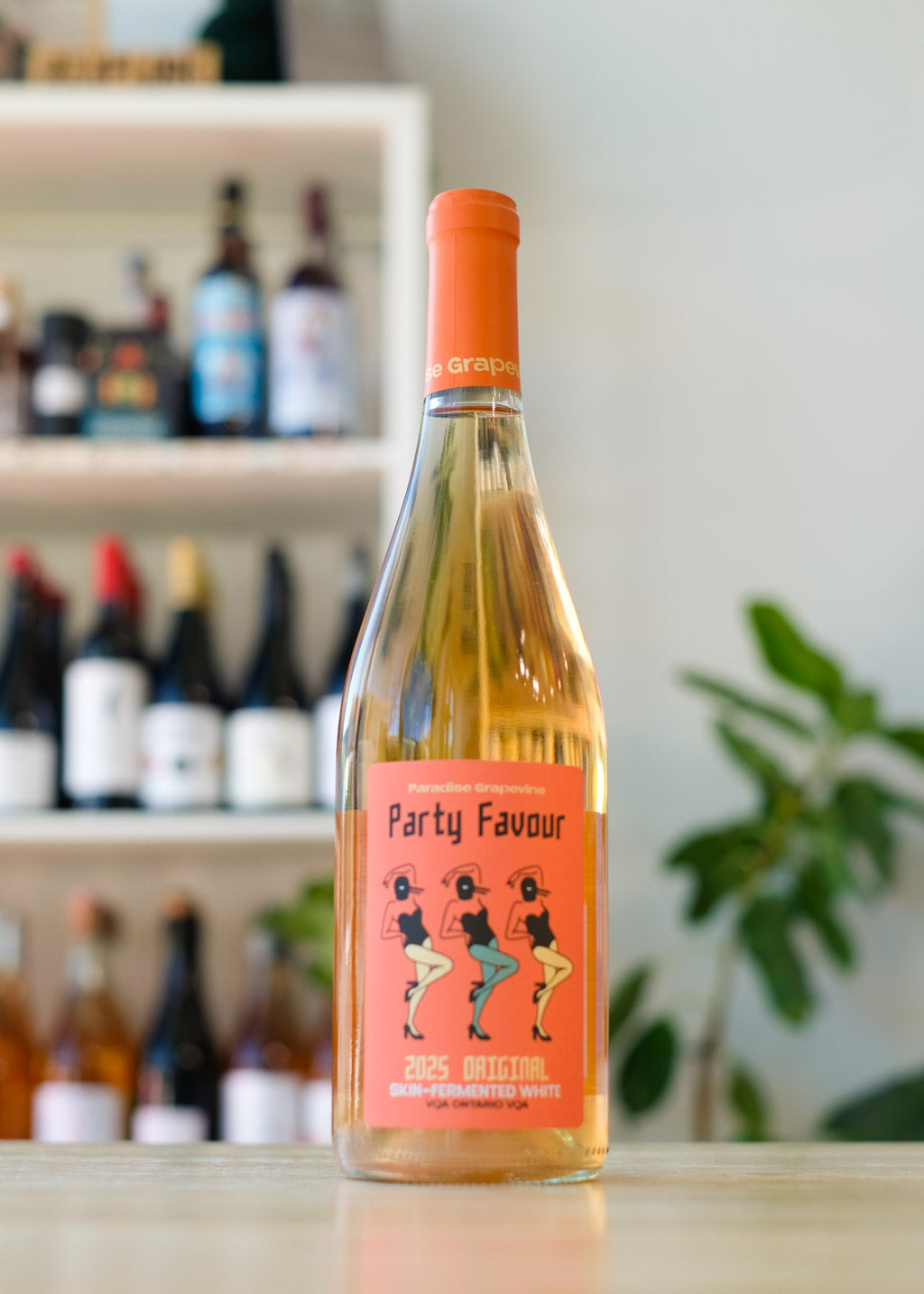 Party Favour 'Orange'