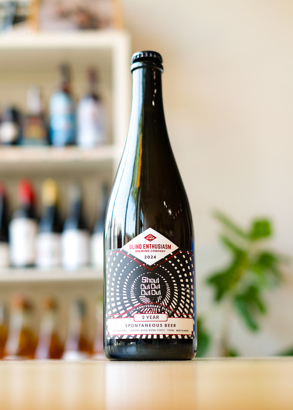 SHOUT OUT OUT OUT OUT | 2-Year Spontaneous Beer