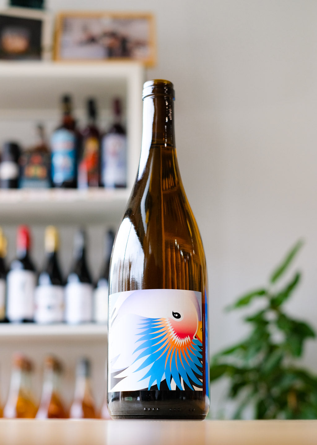 Grape Republic 'Bianco'