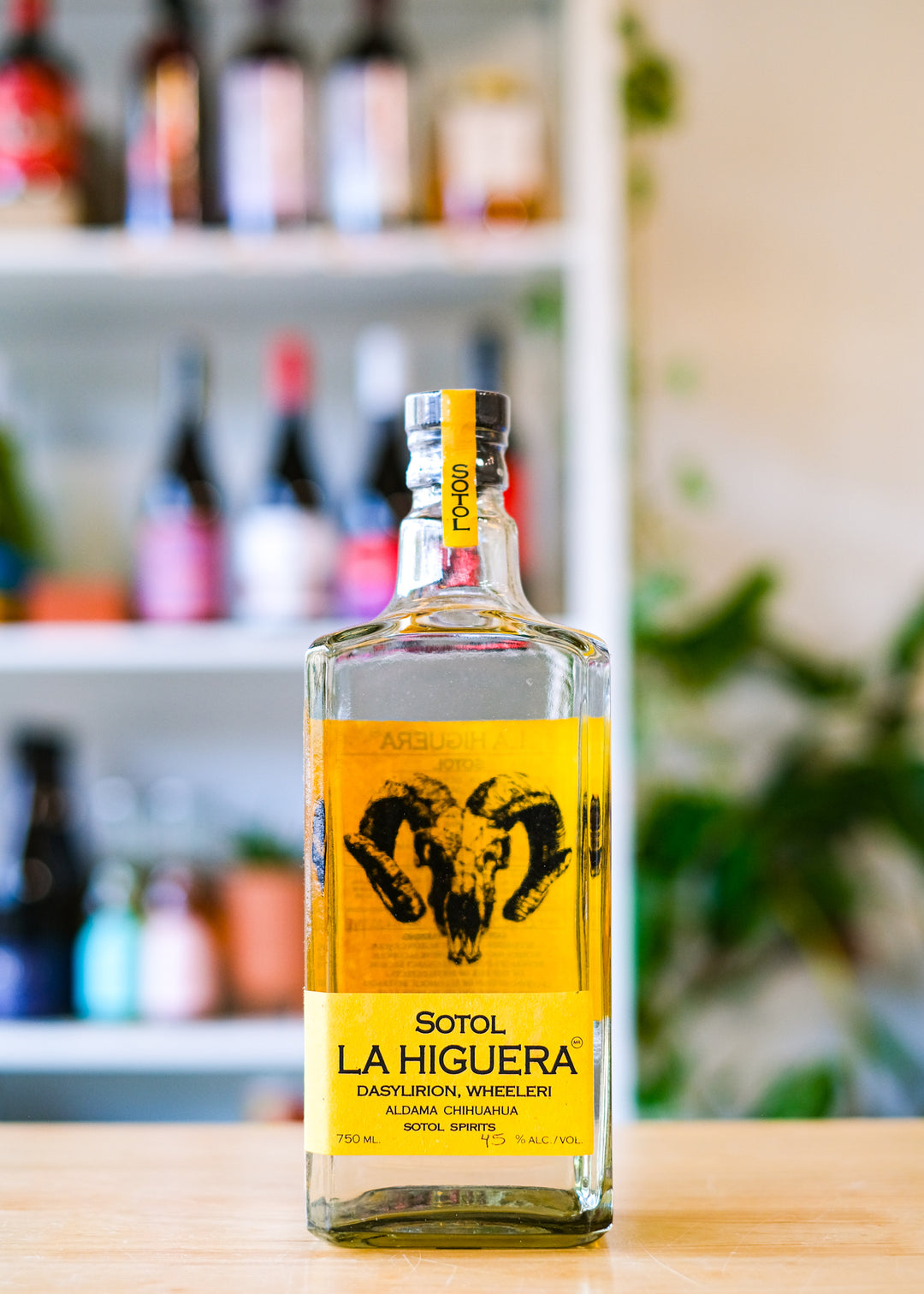 La Higuera Wheeleri Sotol