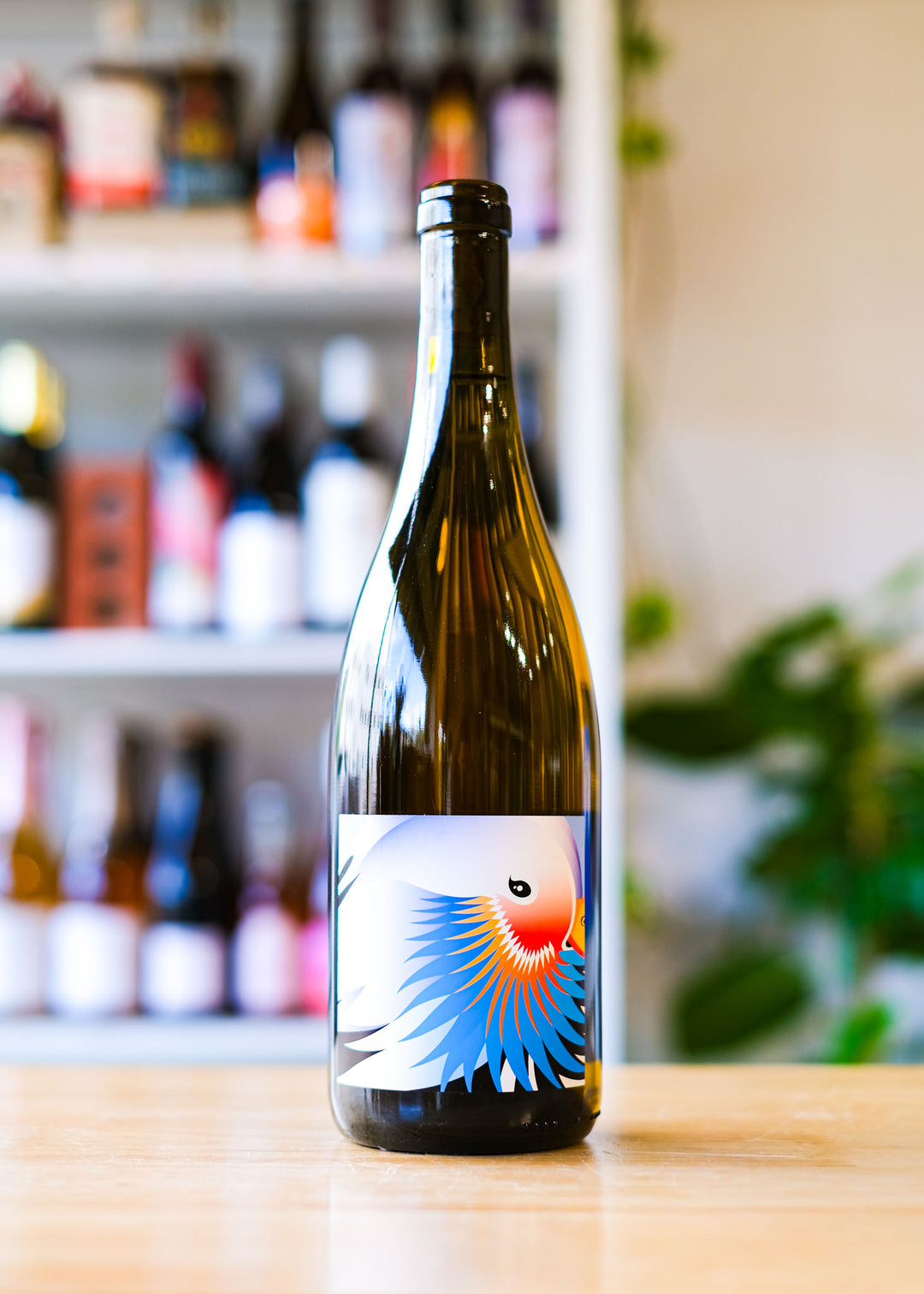 Grape Republic 'Bianco'
