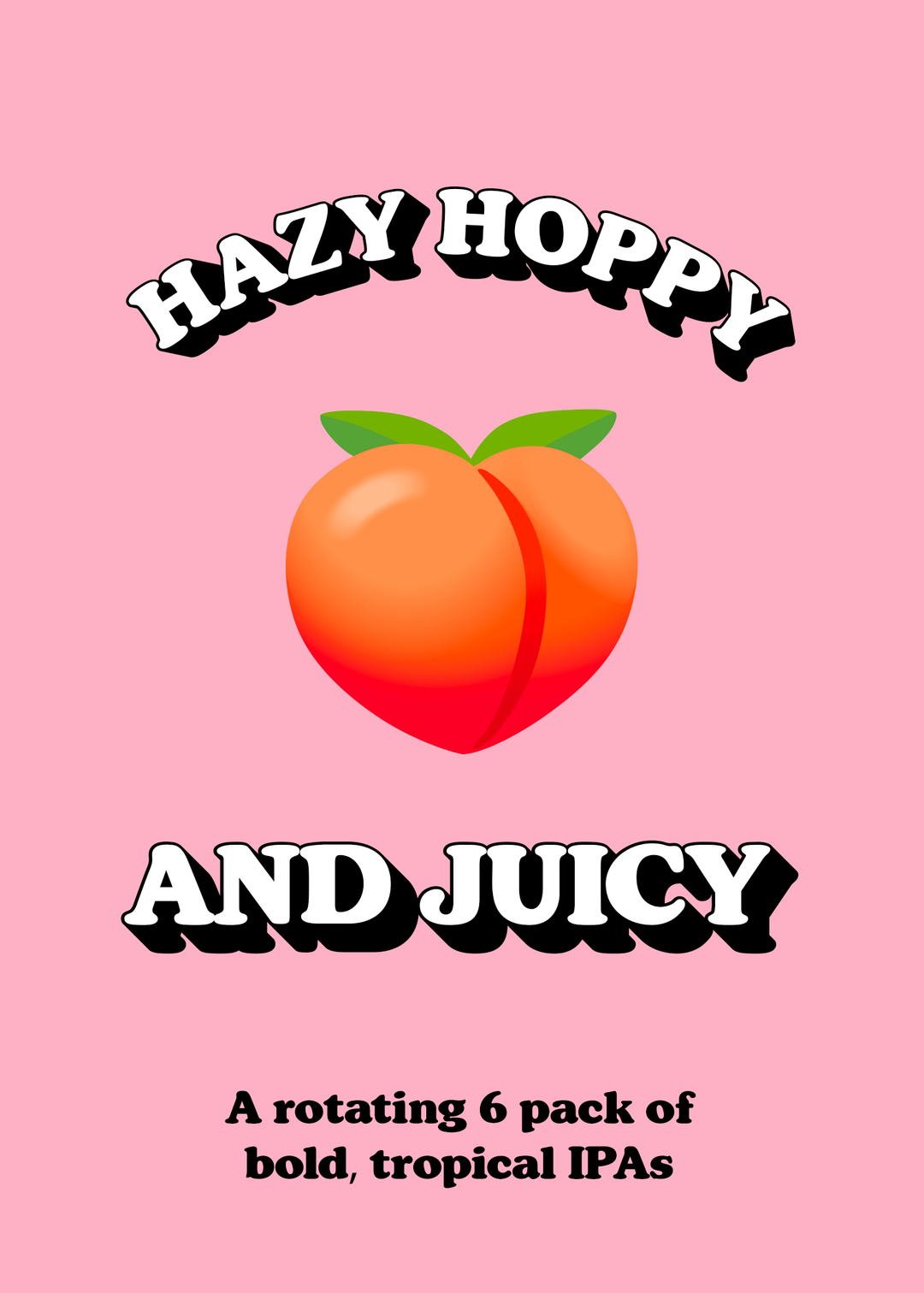 MIXED PACK - HAZY, HOPPY, & JUICY 47.0