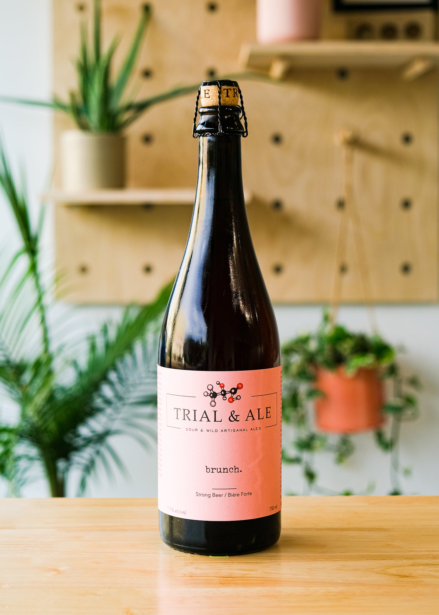 brunch. | Fruited American Sour & Wild Ale