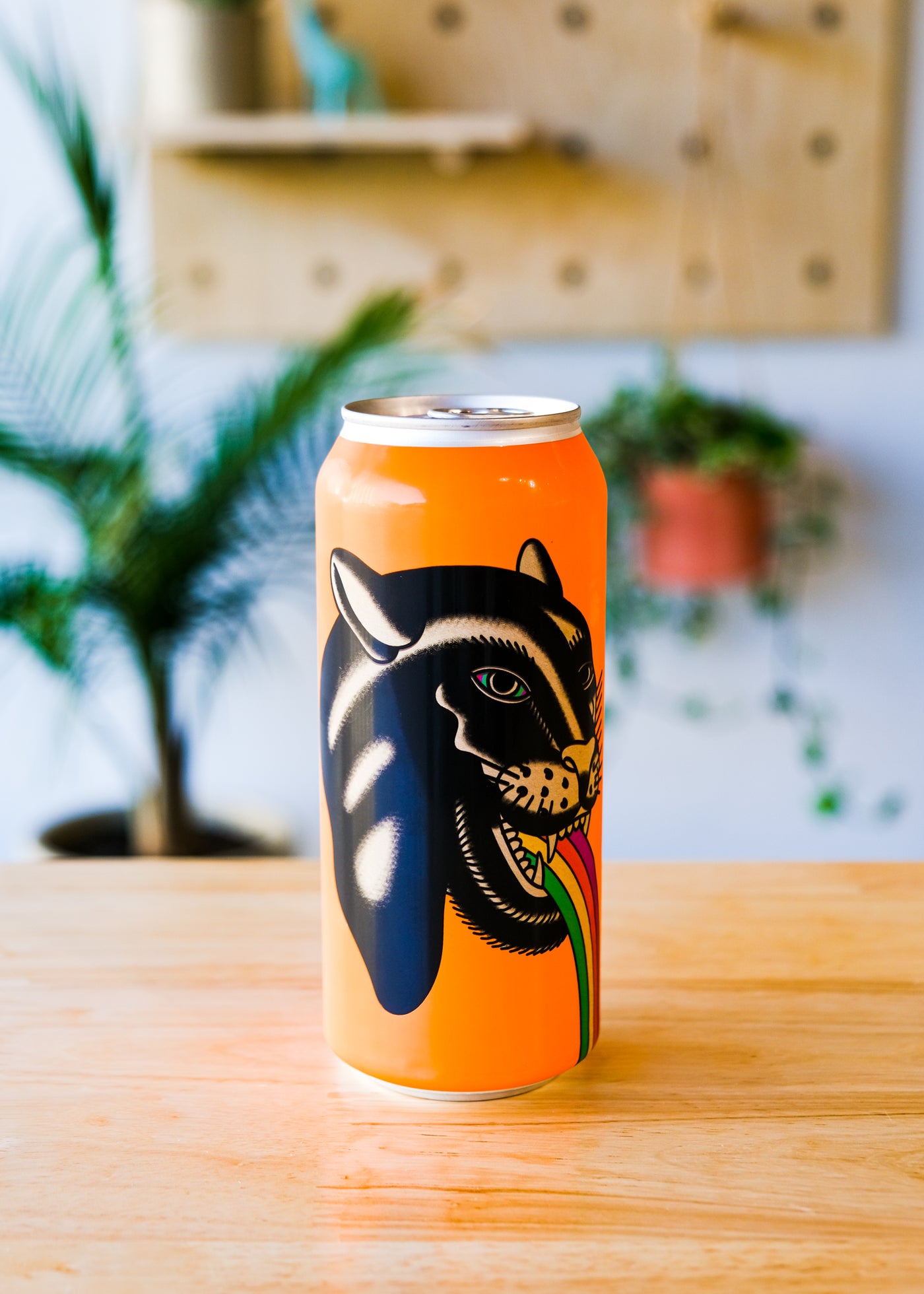 DAILY FORECAST | Mimosa Beer